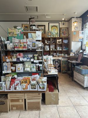   at Kitten Company in Kyoto