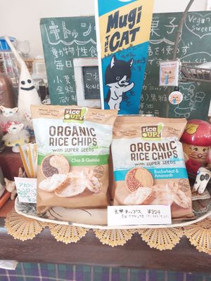  at Kitten Company in Kyoto