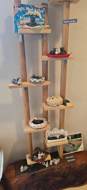  at Kitten Company in Kyoto