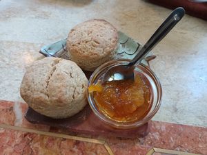  at Kitten Company in Kyoto