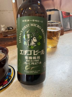   at Kitten Company in Kyoto