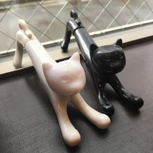 Cats at Kitten Company in Kyoto