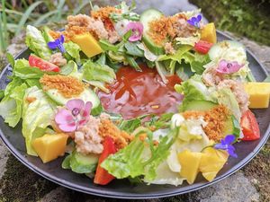 三色藜麦花园沙拉  at Wújìn Xǐ Plant Cuisine - 无尽喜·植物料理 in Hangzhou