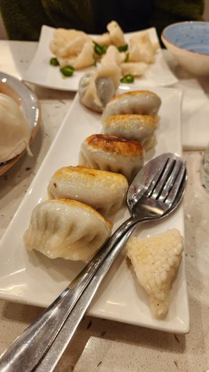 Pan fried vegetable dumplings at Gong De Lin - Preston in Preston