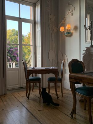   at Em Carne Viva in Porto