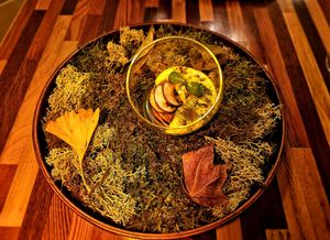 Mil Folhas de Abóbora e Cogumelos. at Em Carne Viva in Porto