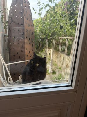   at Em Carne Viva in Porto