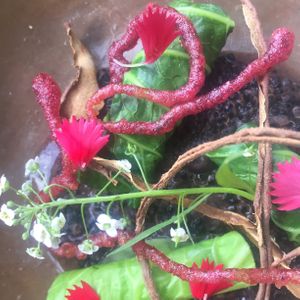  at Em Carne Viva in Porto