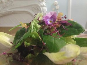 . at Em Carne Viva in Porto