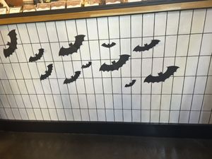 Cute  at Sevens in Buffalo