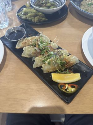 Dumplings  at Brother Bon in Northcote