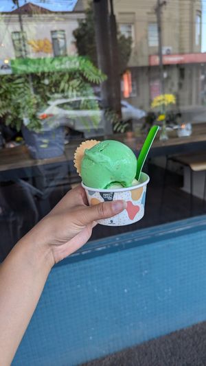  at Brother Bon in Northcote