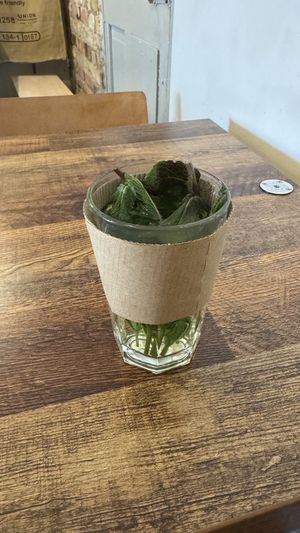   at EZ and Moss in North London