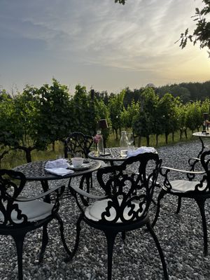 Fattoria sardi   at Fattoria Sardi Giustiniani in Toscana