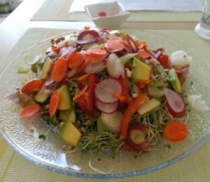 Sandwich at Beauty of Sprouts in Sarasota