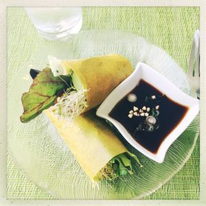 Fresh spring rolls at Beauty of Sprouts in Sarasota