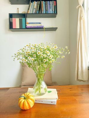 Best place for book lovers at Chay Station in Da Lat