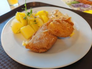 Fried cheese at Vegit Point in Jablonec