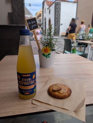  at Koffushi in Tenerife