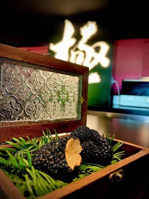  at Original 极 in Hangzhou