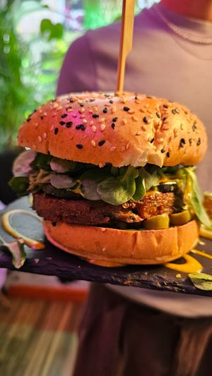  at Logan's Garden in Madrid