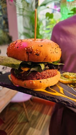  at Logan's Garden in Madrid