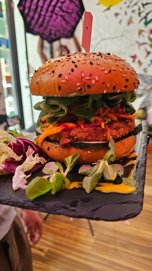  at Logan's Garden in Madrid