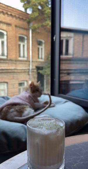 Duke🐈  at Billy in Tbilisi