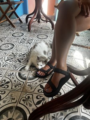   at Billy in Tbilisi