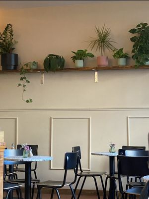   at Cavo - coffee & bánh mì  in Sachsen