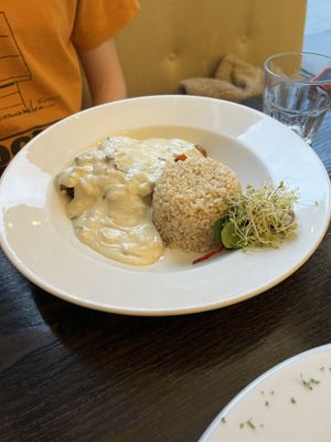 Seitan stroganoff  at 222 Vegan Cuisine in West London