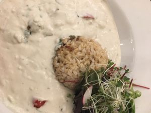 stroganoff   at 222 Vegan Cuisine in West London