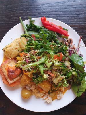 Lunch buffet selection at 222 Vegan Cuisine in West London