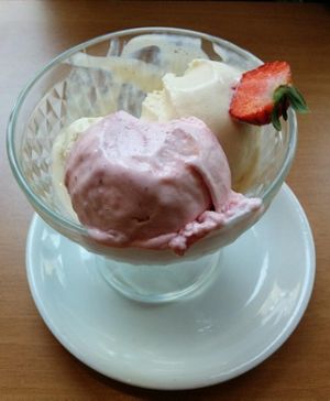Yummy Vanilla and Raspberry Icecream! at 222 Vegan Cuisine in West London