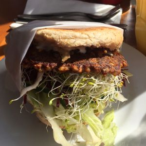 millennium vegan burger at Pilgrims Vegetarian Cafe in Cronulla