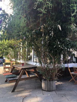 Very cosy in the inside and outside  at Zodiac - Die Andere Kuche in Essen