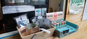  at Mahalo  in Jastarnia