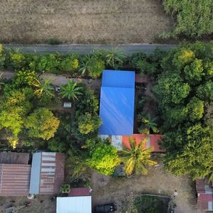  at Green Garden Food Forest in Buriram