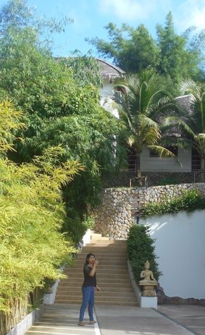 Santosa Wellness Center  at Santosa Vegan Restaurant in Phuket