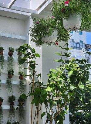  at Odabia - Vegan Café & Desserts in Da Nang