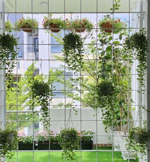  at Odabia - Vegan Café & Desserts in Da Nang