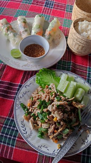 Tofu larp & fresh spring rolls at Amazing Vegan Food in Vang Vieng