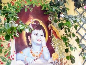 garden at Hare Krishna in Lisbon