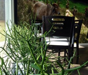 A nice place to seat and enjoy this wall at VegTal Cozinha Vegana in Novo Hamburgo