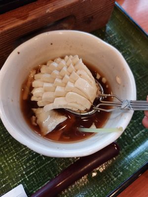 Yudofu at Saga-Tofu Ine North Branch - 嵯峨とうふ 稲 北店 in Kyoto