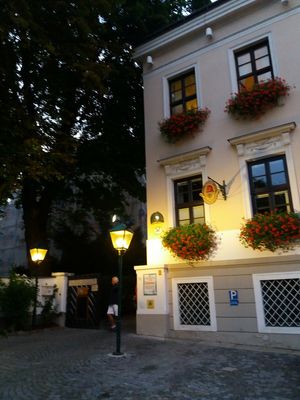 Walk through this gate! at Weingut Feuerwehr Wagner in Vienna