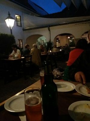 Lovely dining outside at Weingut Feuerwehr Wagner in Vienna