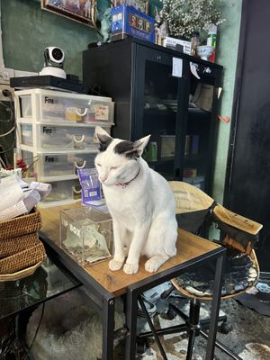  #Veganuary at Mango in Bangkok