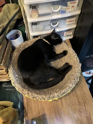 ❤️❤️❤️  at Mango in Bangkok