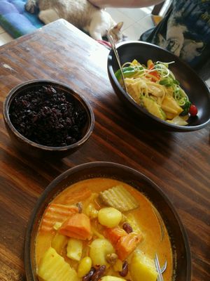 Massaman Curry & Mushroom Cream Sauce Pasta  at Mango in Bangkok
